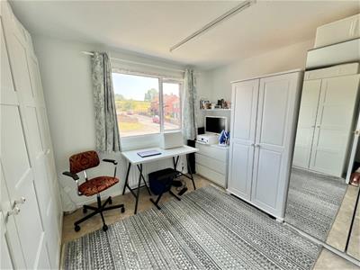Picture 14